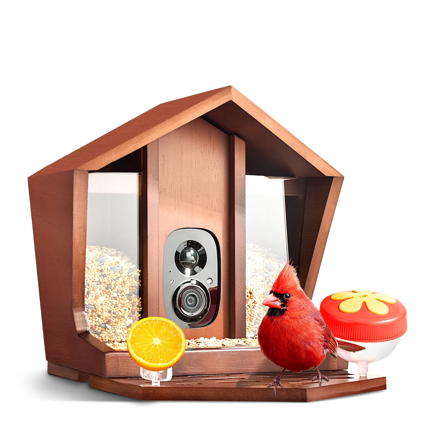 Tickwing smart bird feeder hardware with camera, seed storage, bird perch, and accessory cups